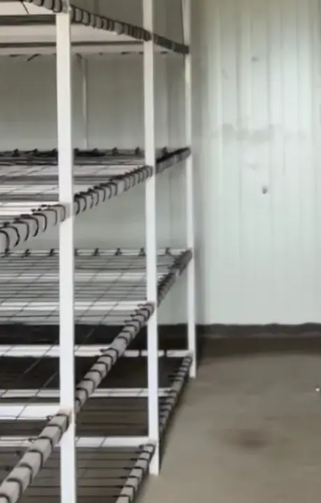 Racks inside a new MushroomWale grow room