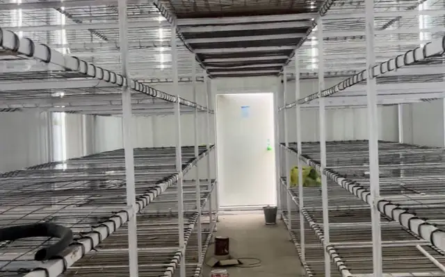 Racks inside a MushroomWale grow room
