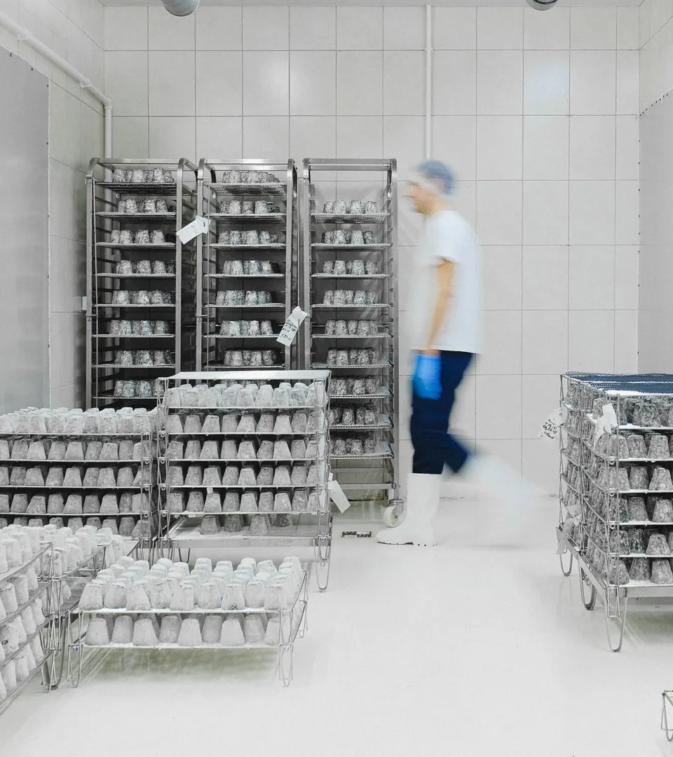 Representative photo of a walk-in cold room with racked trolleys