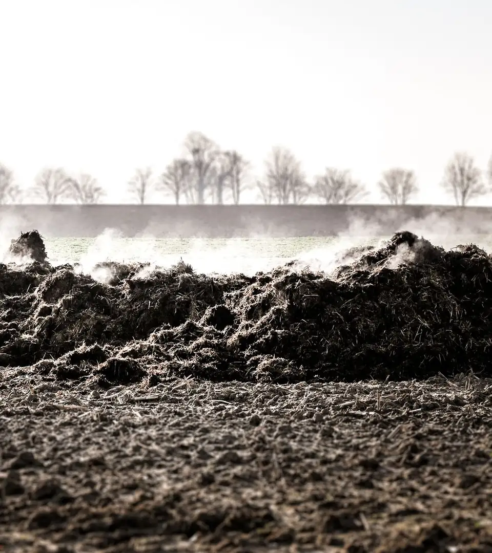 Representative photo of a steaming compost heap