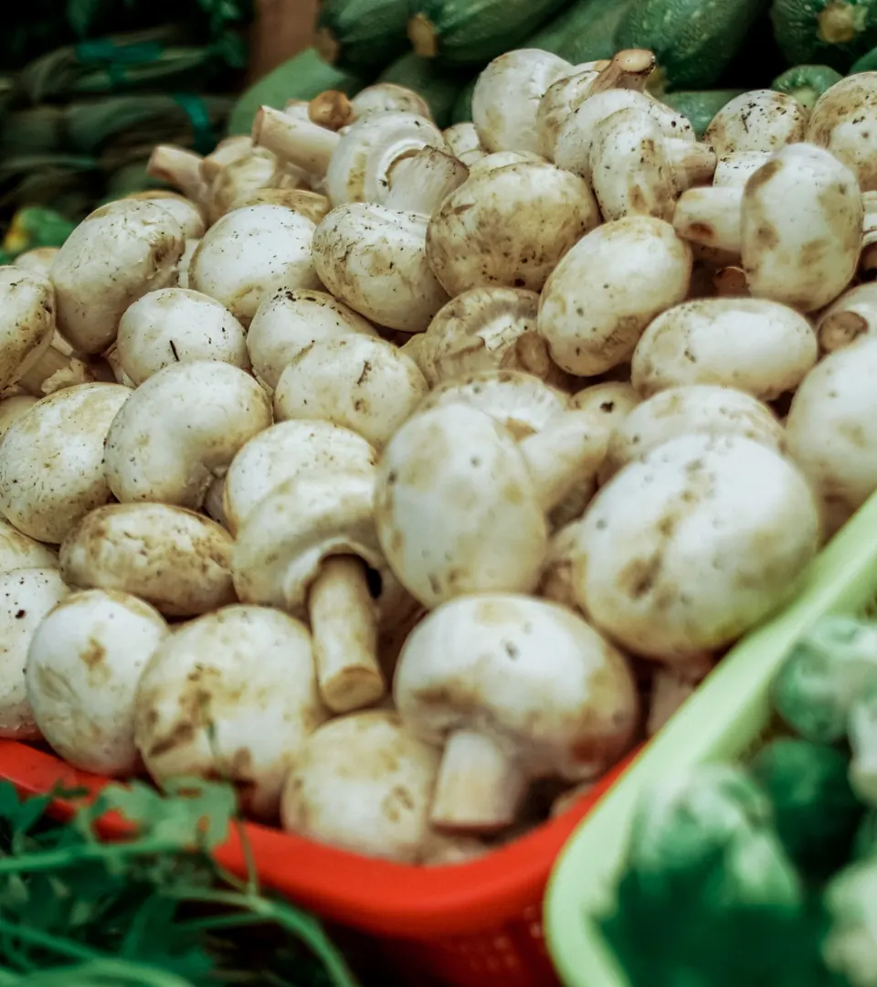 Representative photo of white button mushrooms on sale at a market