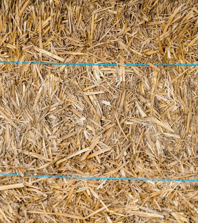 Representative photo of a straw bale, close up