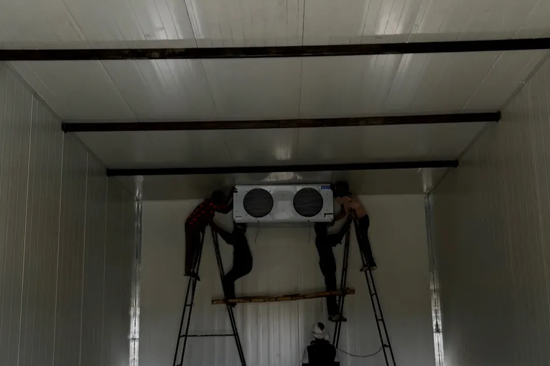 The indoor cooling unit being fitted inside a MushroomWale grow room