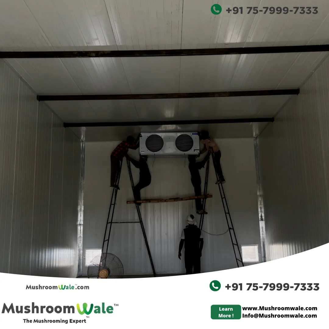 Cooling System Installation