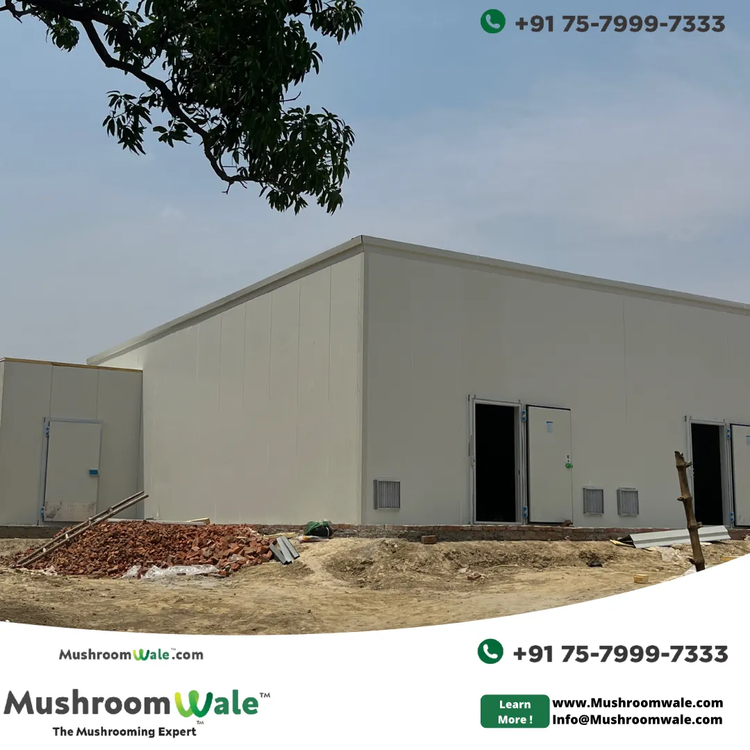 Commercial Facility