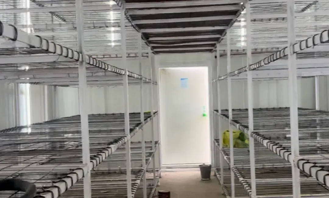 Grow room with MS racks either side of a central aisle