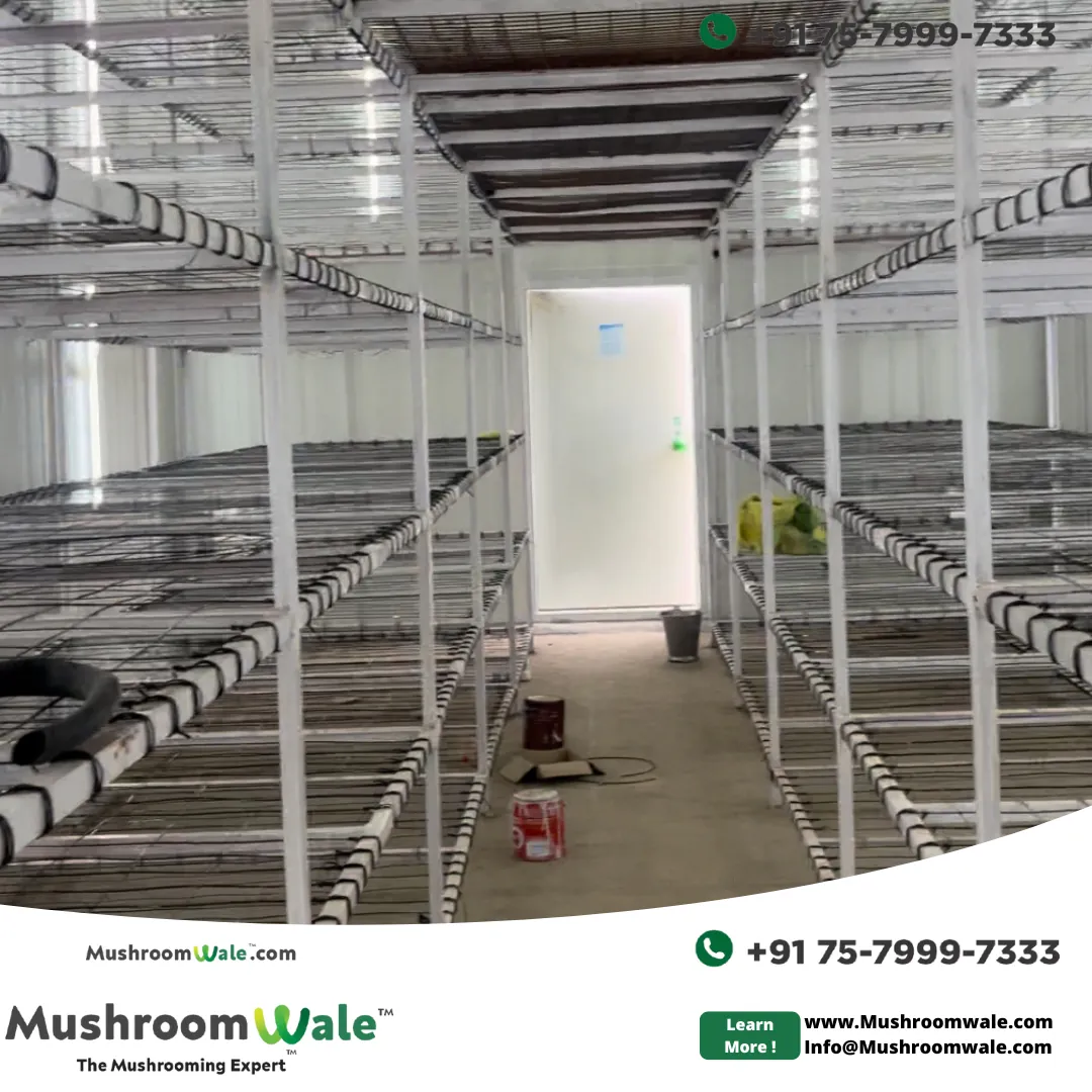 Grow Room Interior