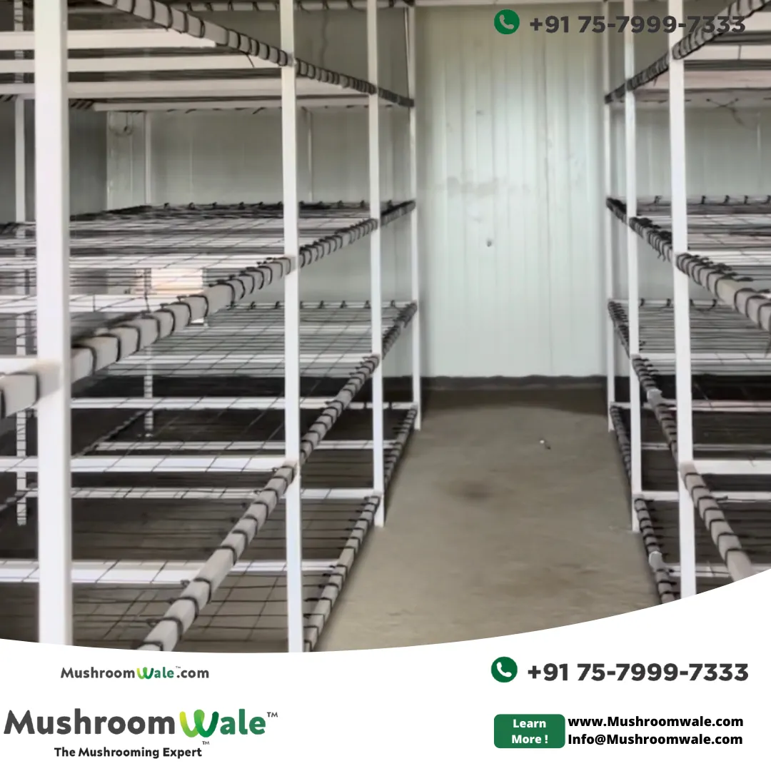 7-Tier Rack System