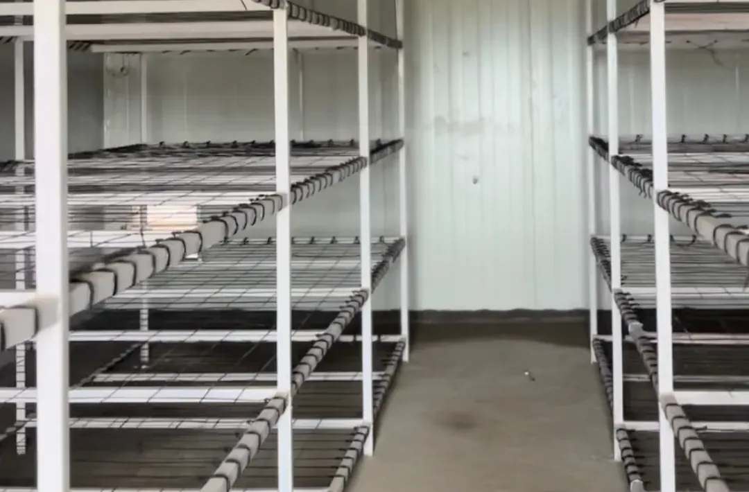 Standard 7-tier MS racks installed inside a MushroomWale grow room