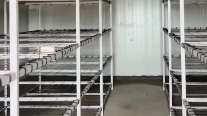 Seven-tier racks inside a MushroomWale grow room