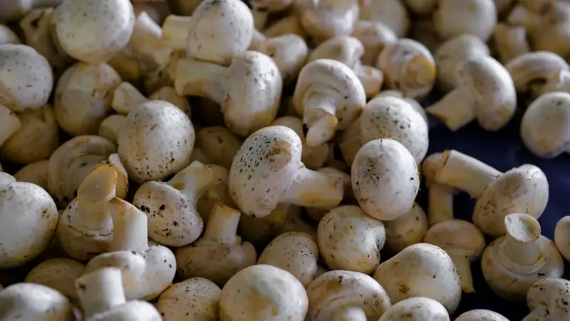 Fresh white button mushrooms