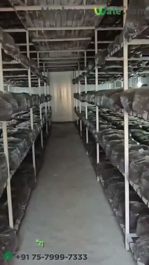 Grow Room in Production